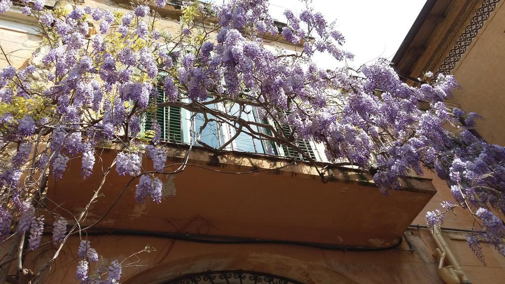 Casa Mimi Appartement Santa Flavia Buitenkant foto